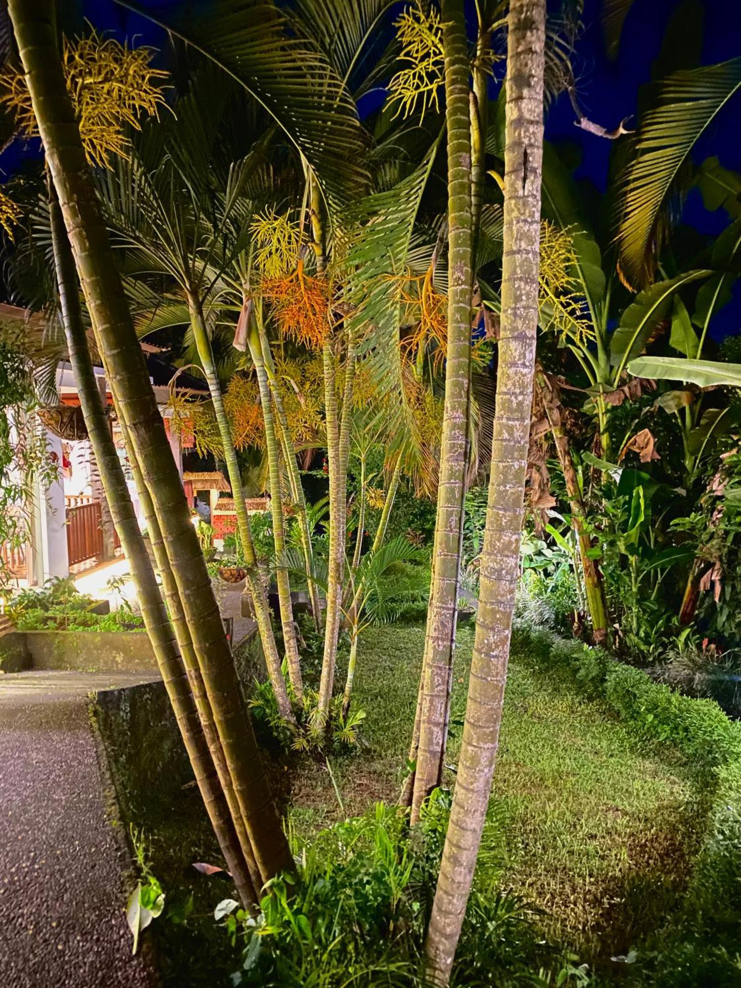 Ardan Maison Ubud Bagian luar foto